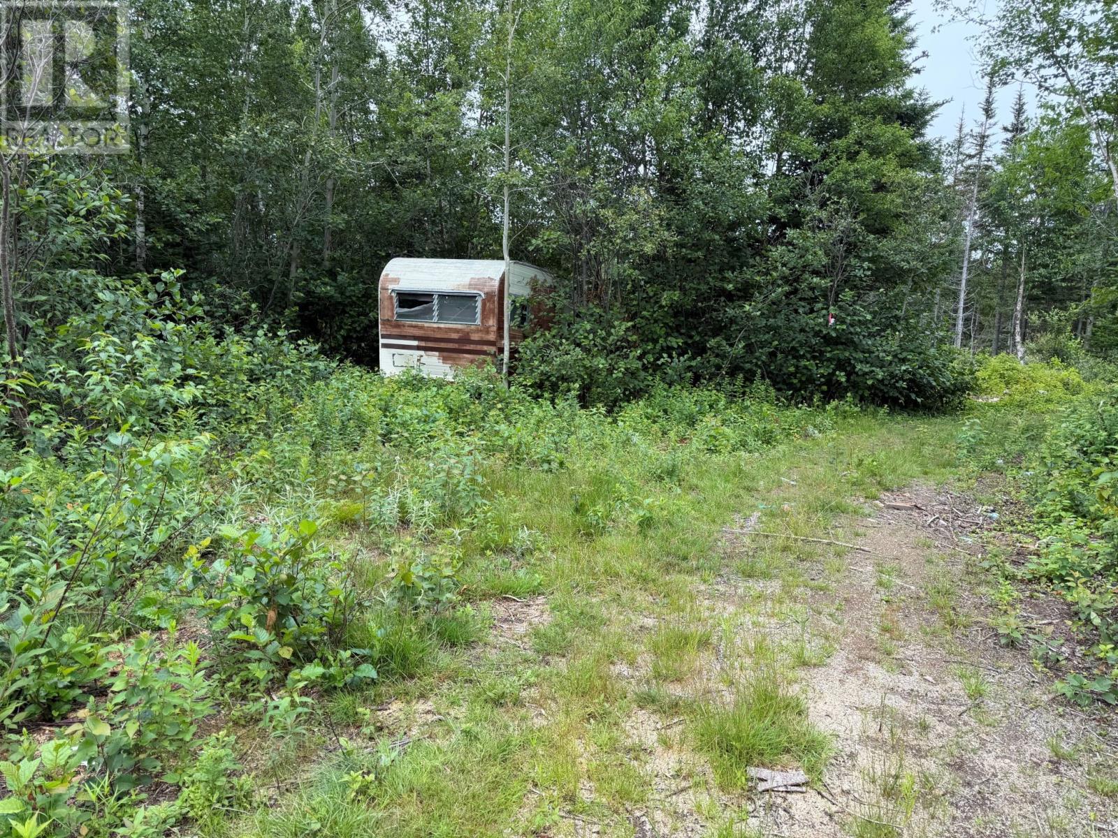 0 Main Street, Dog Bay, Newfoundland & Labrador A0G 3R0 - Photo 6 - 1299404