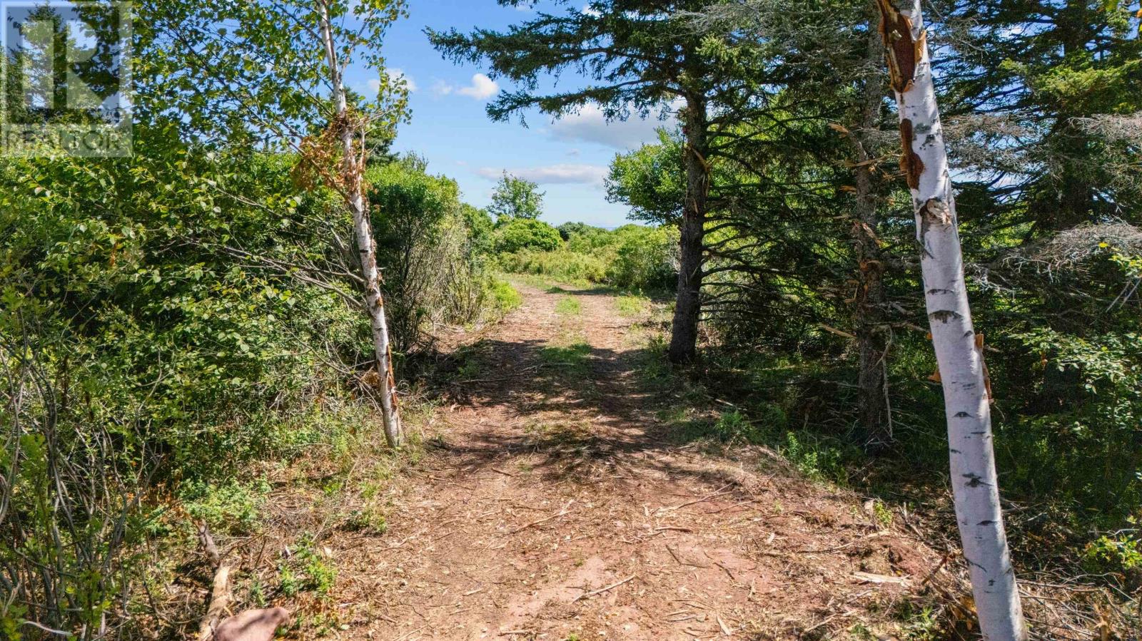 23 Hennebury Road, Rice Point, Prince Edward Island  C0A 1H6 - Photo 9 - 202619876