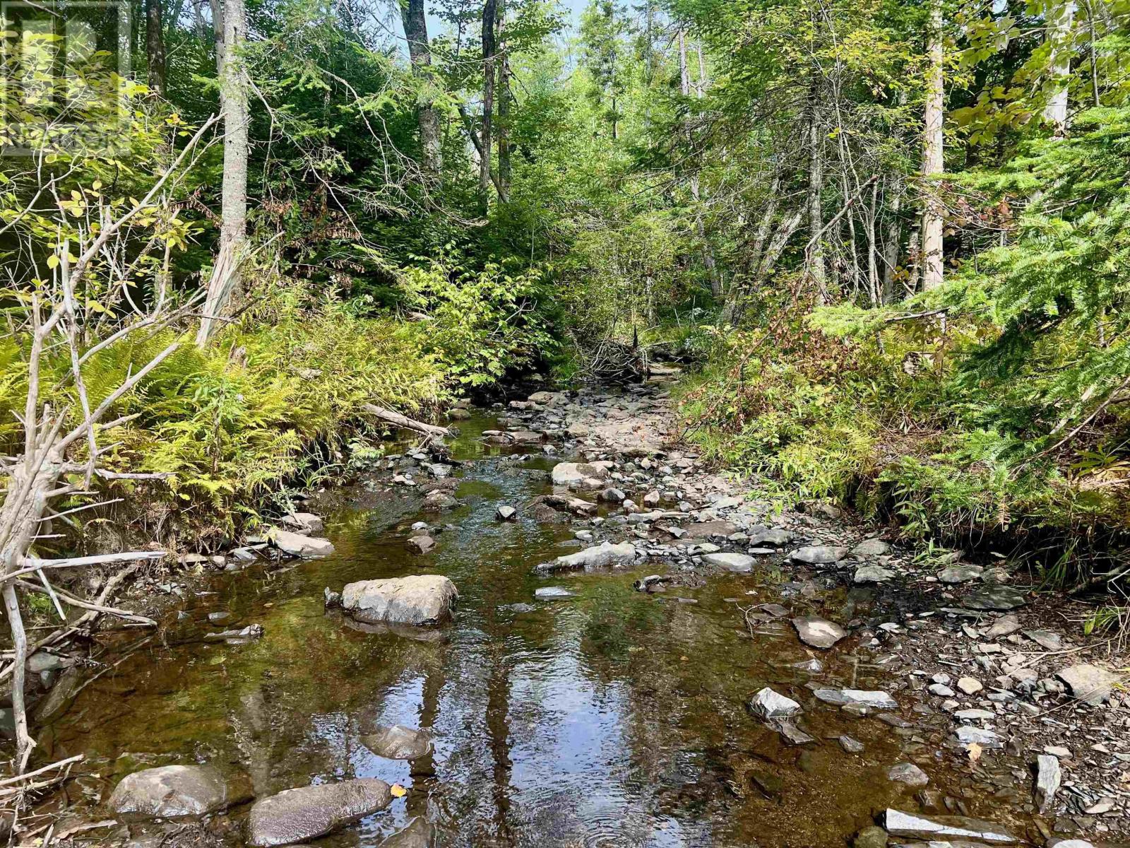 Lot 10 Greenfield Road, Greenfield, Nova Scotia  B0P 1X0 - Photo 7 - 202604074