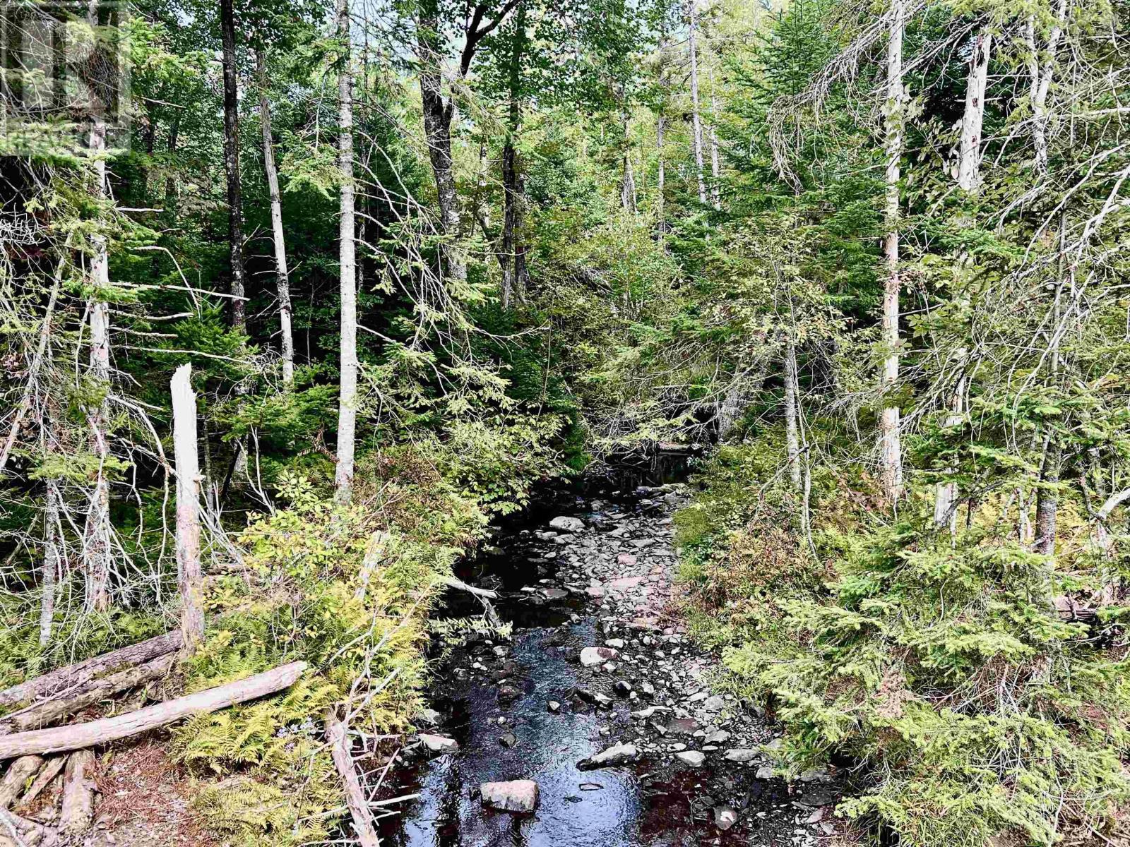 Lot 10 Greenfield Road, Greenfield, Nova Scotia  B0P 1X0 - Photo 8 - 202604074
