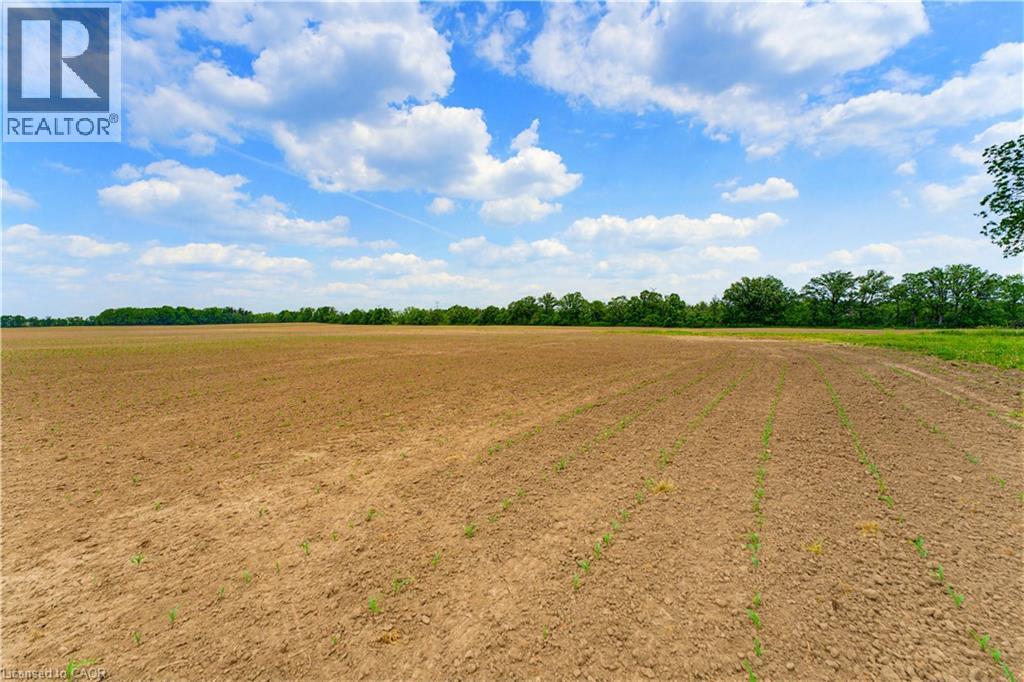 0 Highway 5, Troy, Ontario  L0R 2B0 - Photo 10 - 40838486