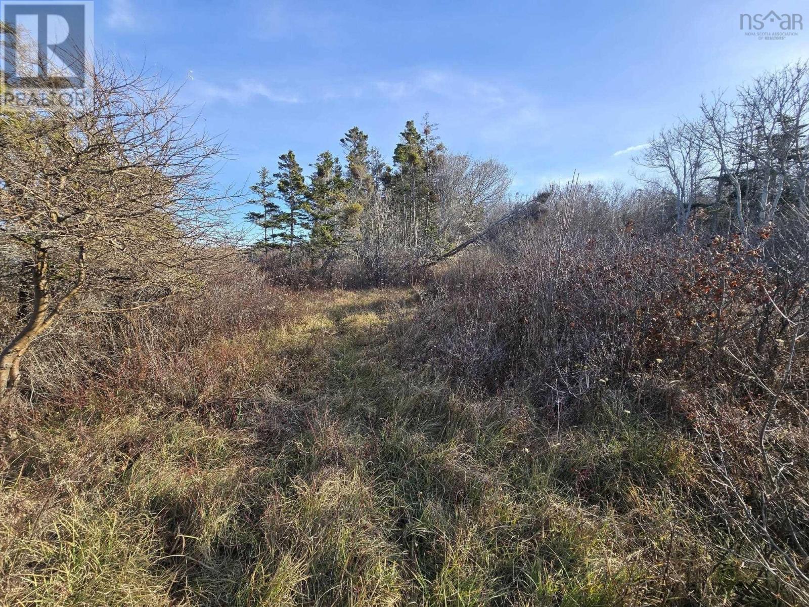 Lot Shore Road W, Delaps Cove, Nova Scotia  B0P 1E0 - Photo 3 - 202614423