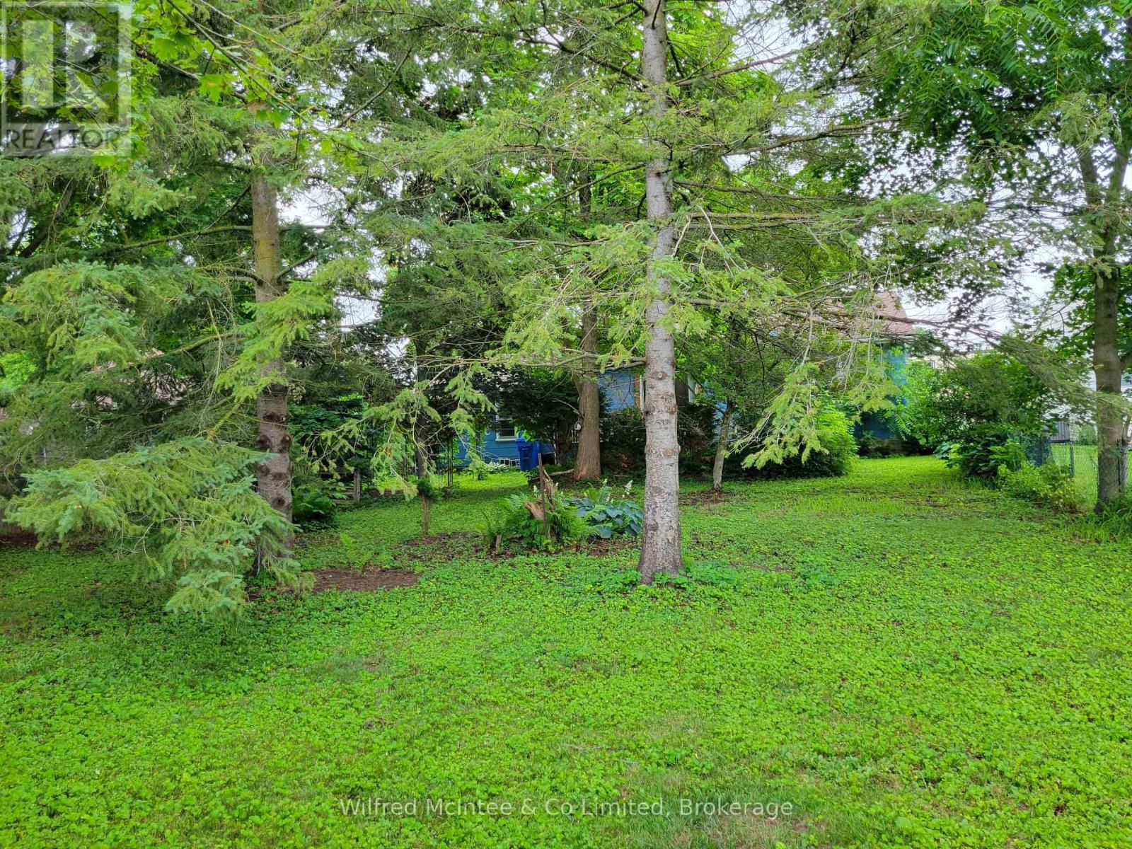 575 11th Street, Hanover, Ontario  N4N 1T4 - Photo 4 - X13556046