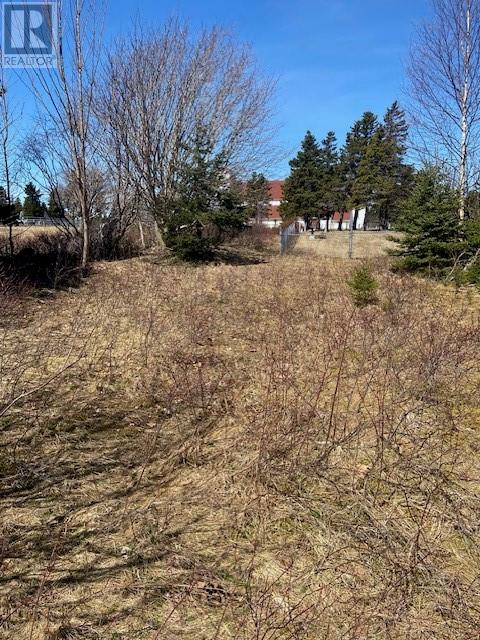177B Coley's Point South Road, Coley's Point, Bay Roberts — photo 10