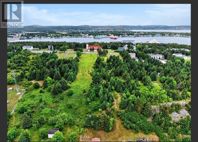 177B Coley's Point South Road, Coley's Point, Bay Roberts — photo 15