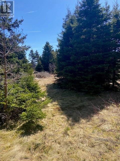 177B Coley's Point South Road, Coley's Point, Bay Roberts — photo 7