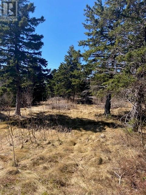 177B Coley's Point South Road, Coley's Point, Bay Roberts — photo 8
