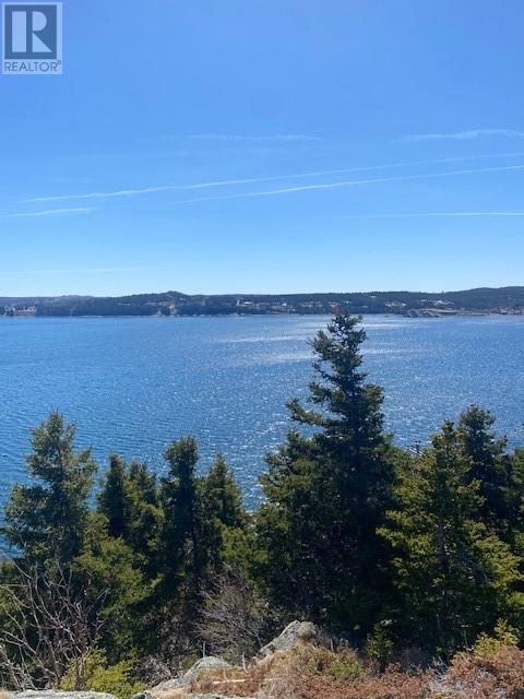 177B Coley's Point South Road, Coley's Point, Bay Roberts — photo 5