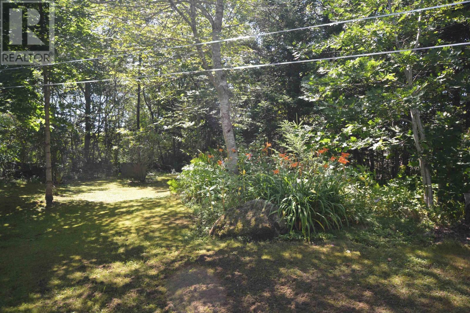 picture 24