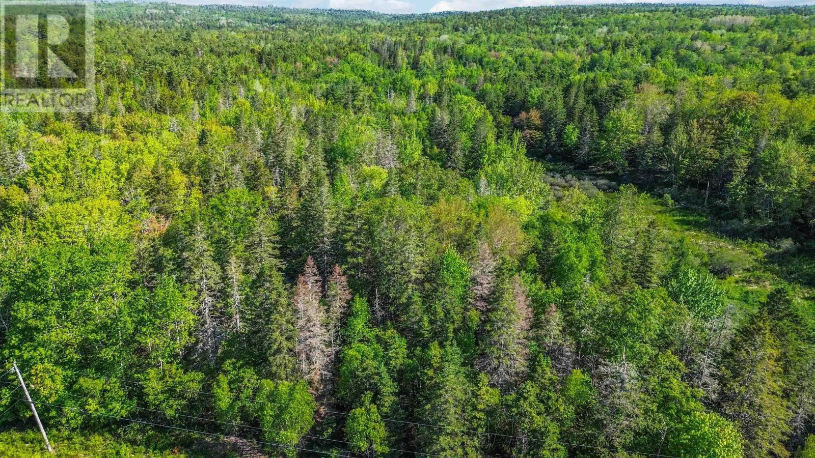 West Dalhousie Road, Lake La Rose, Nova Scotia  B0S 1A0 - Photo 2 - 202614296
