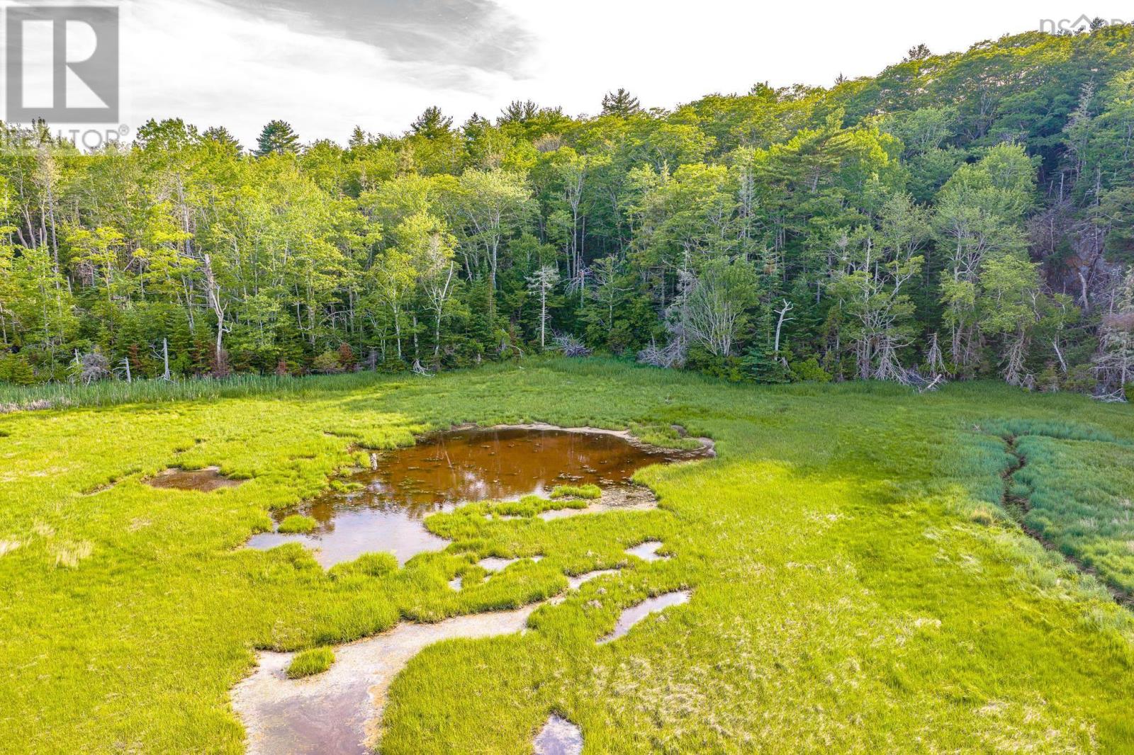Lot 2 Jordan Branch Road, Jordan Branch, Nova Scotia  B0T 1W0 - Photo 11 - 202615744