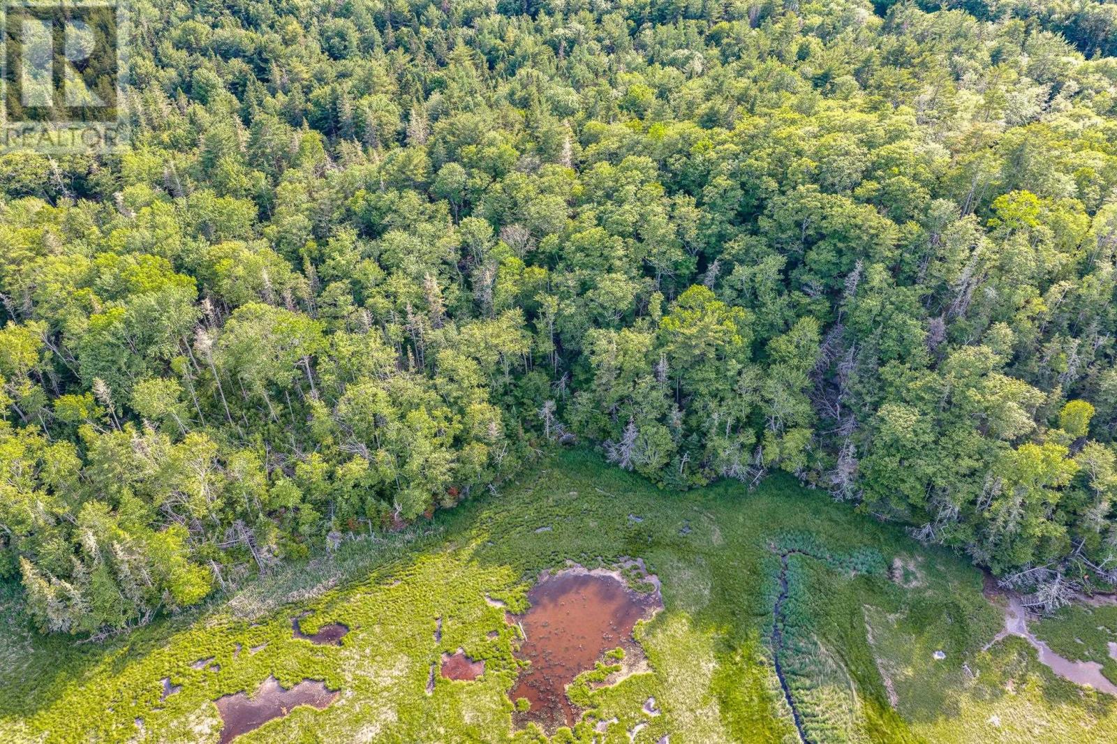 Lot 2 Jordan Branch Road, Jordan Branch, Nova Scotia  B0T 1W0 - Photo 12 - 202615744