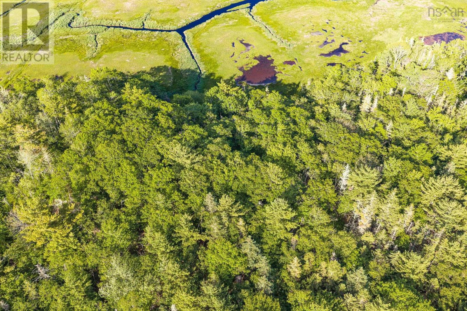 Lot 2 Jordan Branch Road, Jordan Branch, Nova Scotia  B0T 1W0 - Photo 7 - 202615744
