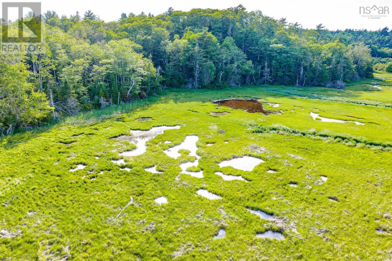 Lot 2 Jordan Branch Road, Jordan Branch, Nova Scotia  B0T 1W0 - Photo 10 - 202615744