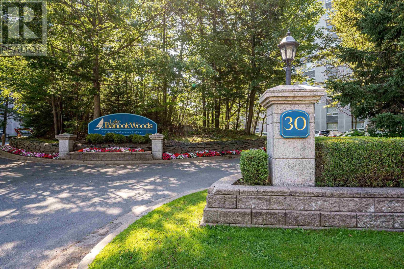 picture 0