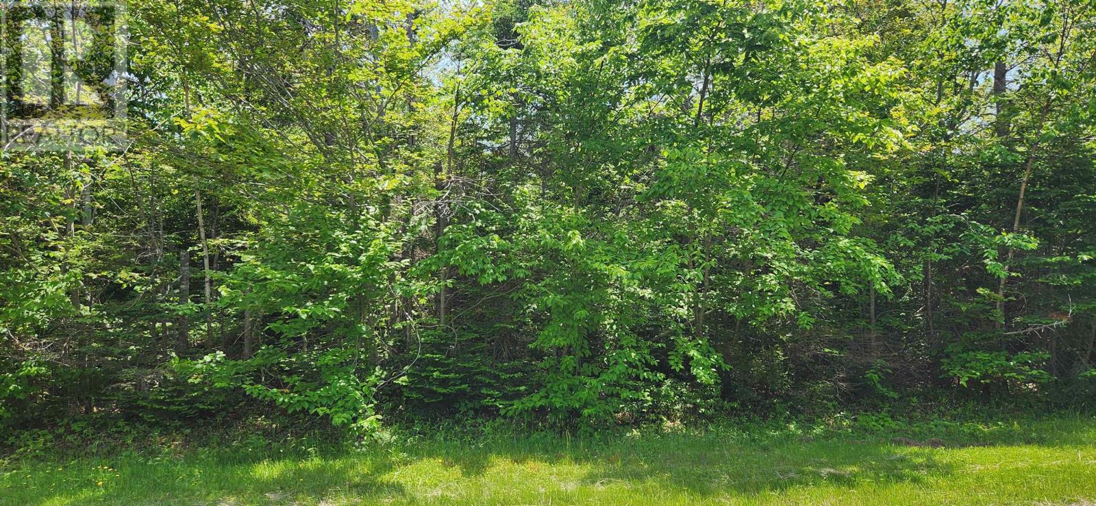 Acreage Greys Road Road, Wood Islands, Prince Edward Island