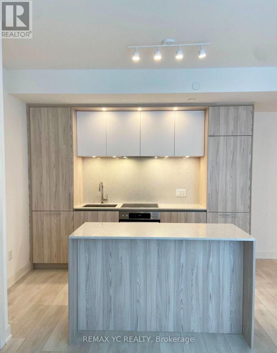 508 - 15 Mercer Street, Toronto, Ontario  M5V 0V1 - Photo 2 - C13649180