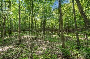 6 Rock Forest Road, Ottawa, Ontario  K0A 1T0 - Photo 3 - X13649108