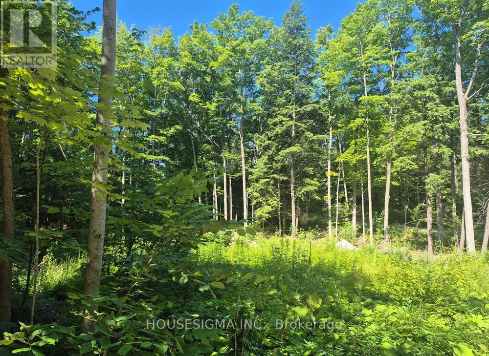 68 Beauremi Road, Tiny, Ontario  L0L 2J0 - Photo 15 - S13649124