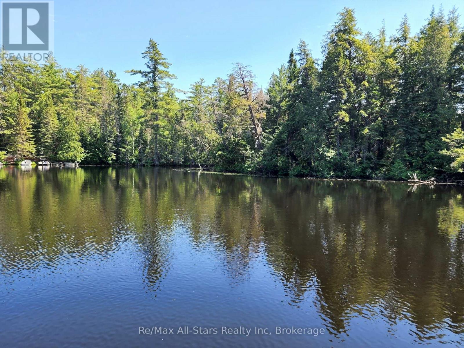 Lot 31 Rock Lake Road, Algonquin Highlands, Ontario  P0A 1J0 - Photo 3 - X13543456