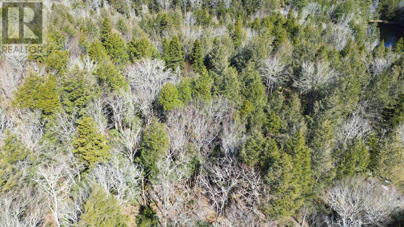 Lot 61 Sunrise Circle East Road, Labelle, Nova Scotia  B0T 1E0 - Photo 4 - 202606812