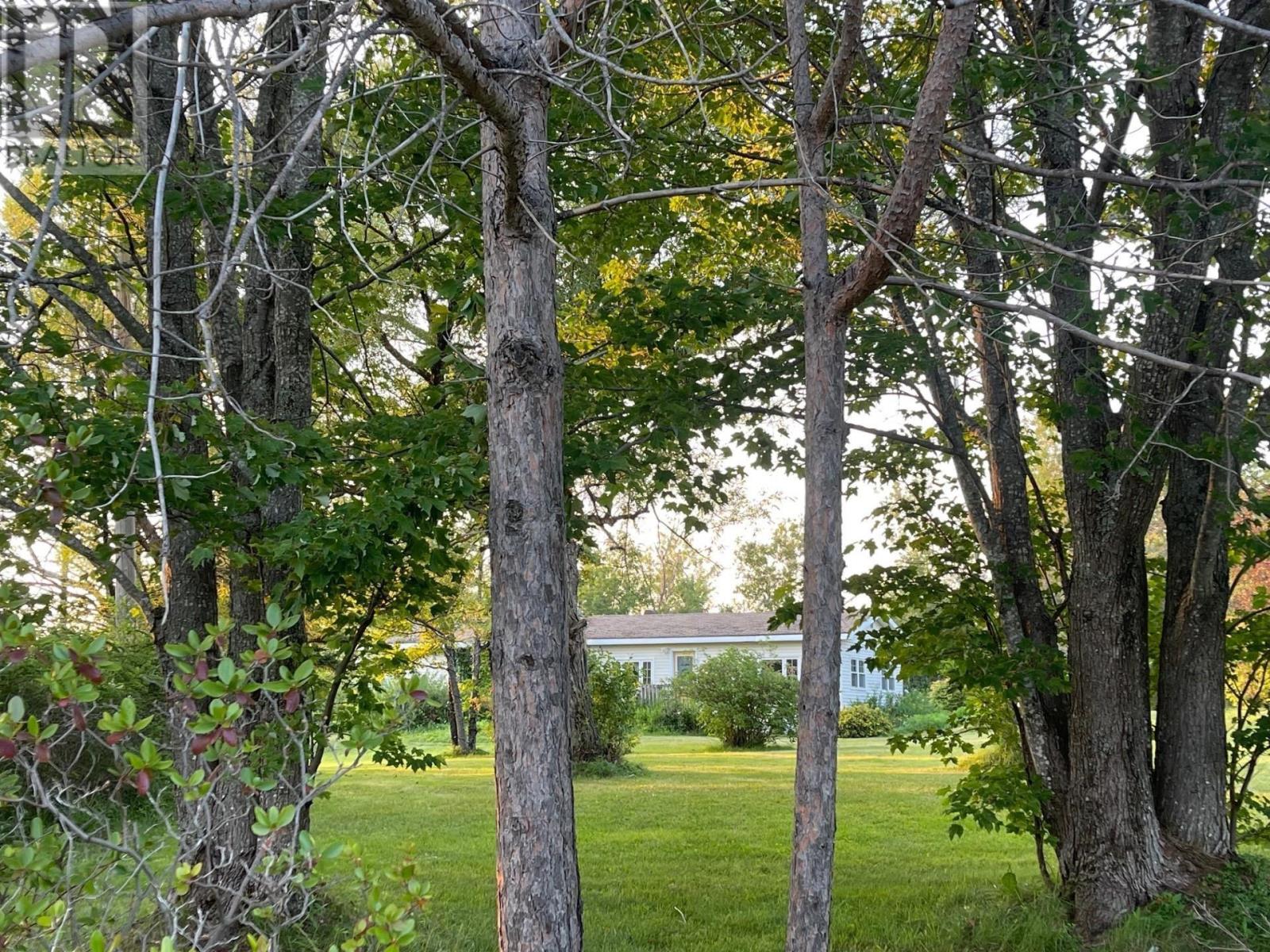4467 Shore Road, Lismore, Nova Scotia  B0K 1G0 - Photo 18 - 202619625