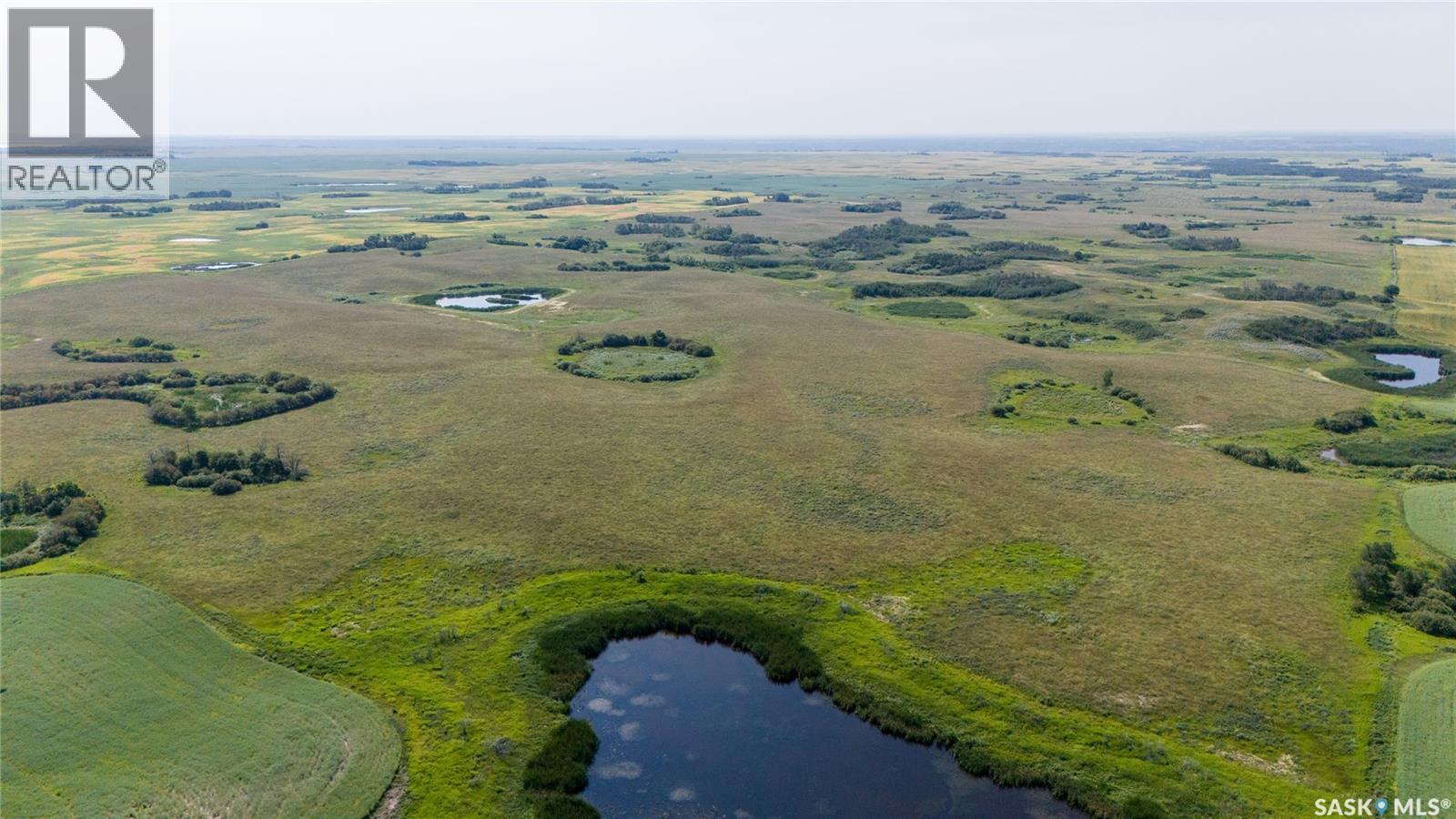 2 Quarters Farmland Near Dysart (Hornung), Lipton Rm No. 217, Saskatchewan  S0G 0C1 - Photo 10 - SK044900