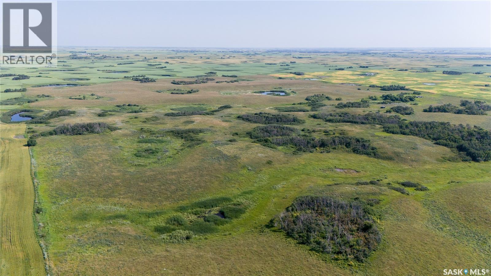 2 Quarters Farmland Near Dysart (Hornung), Lipton Rm No. 217, Saskatchewan  S0G 0C1 - Photo 8 - SK044900