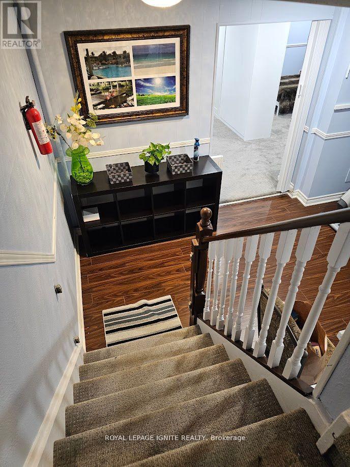 Bsmt - 29 Wyndcliff Crescent, Toronto, Ontario  M4A 2J9 - Photo 2 - C13649584