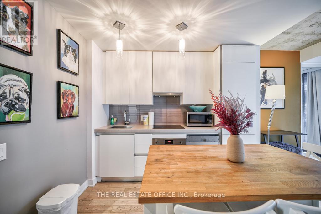 331 - 629 King Street W, Toronto, Ontario  M5V 0G9 - Photo 9 - C13649758