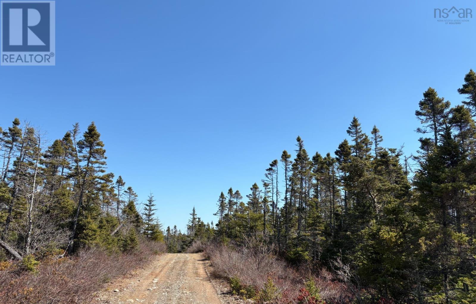 Lots Ostrea Lake Road, Ostrea Lake, Nova Scotia  B0J 2L0 - Photo 11 - 202609337