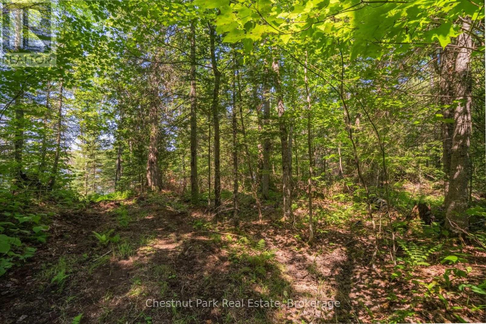 Part 8,9,10  Pool Lake Con 2 Pt Lot 19 Rp 42r18158, Strong, Ontario  P0A 1Z0 - Photo 17 - X13649572