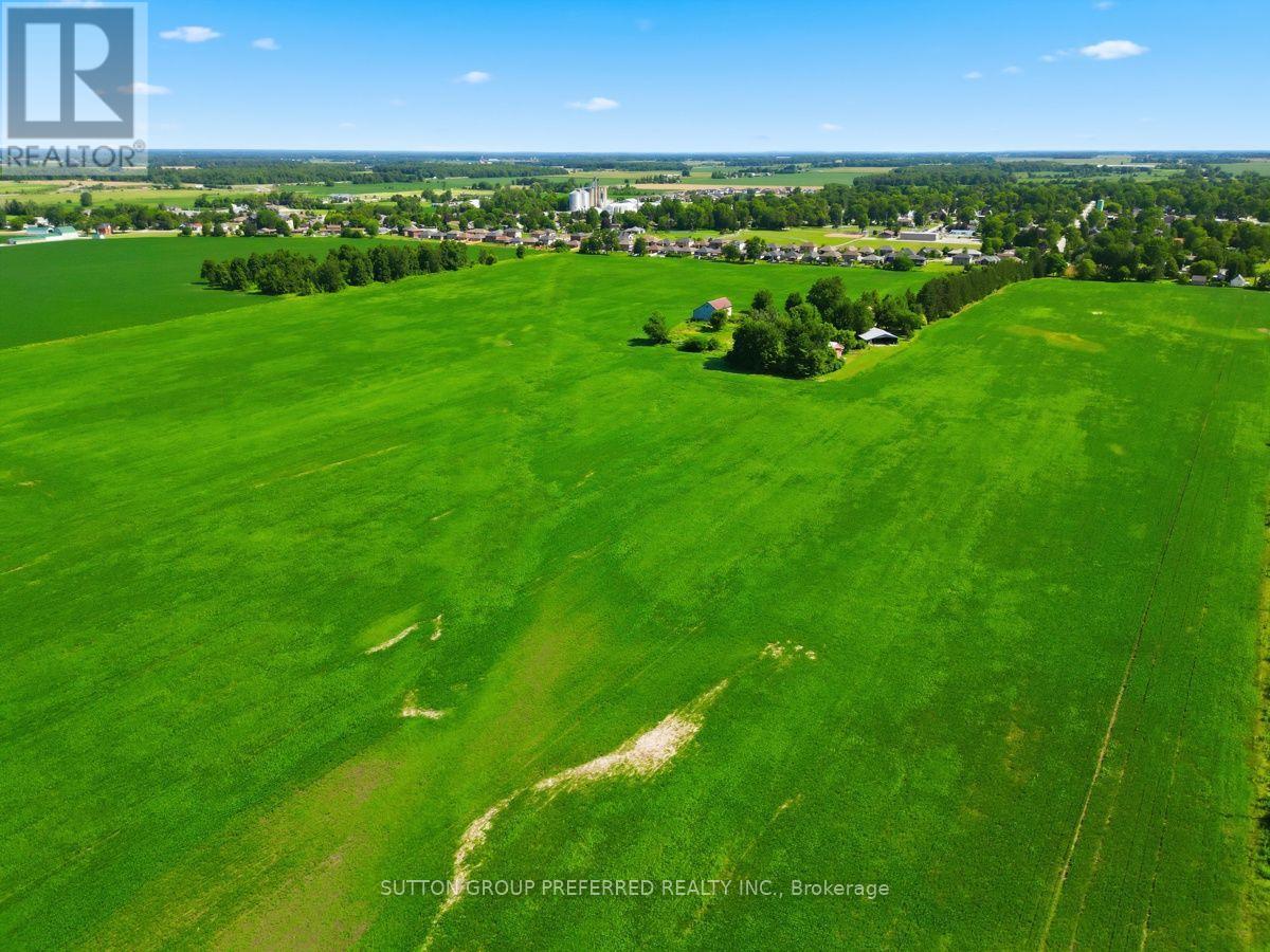 301 Mary Street, Dutton/dunwich, Ontario  N0L 1J0 - Photo 6 - X13649744