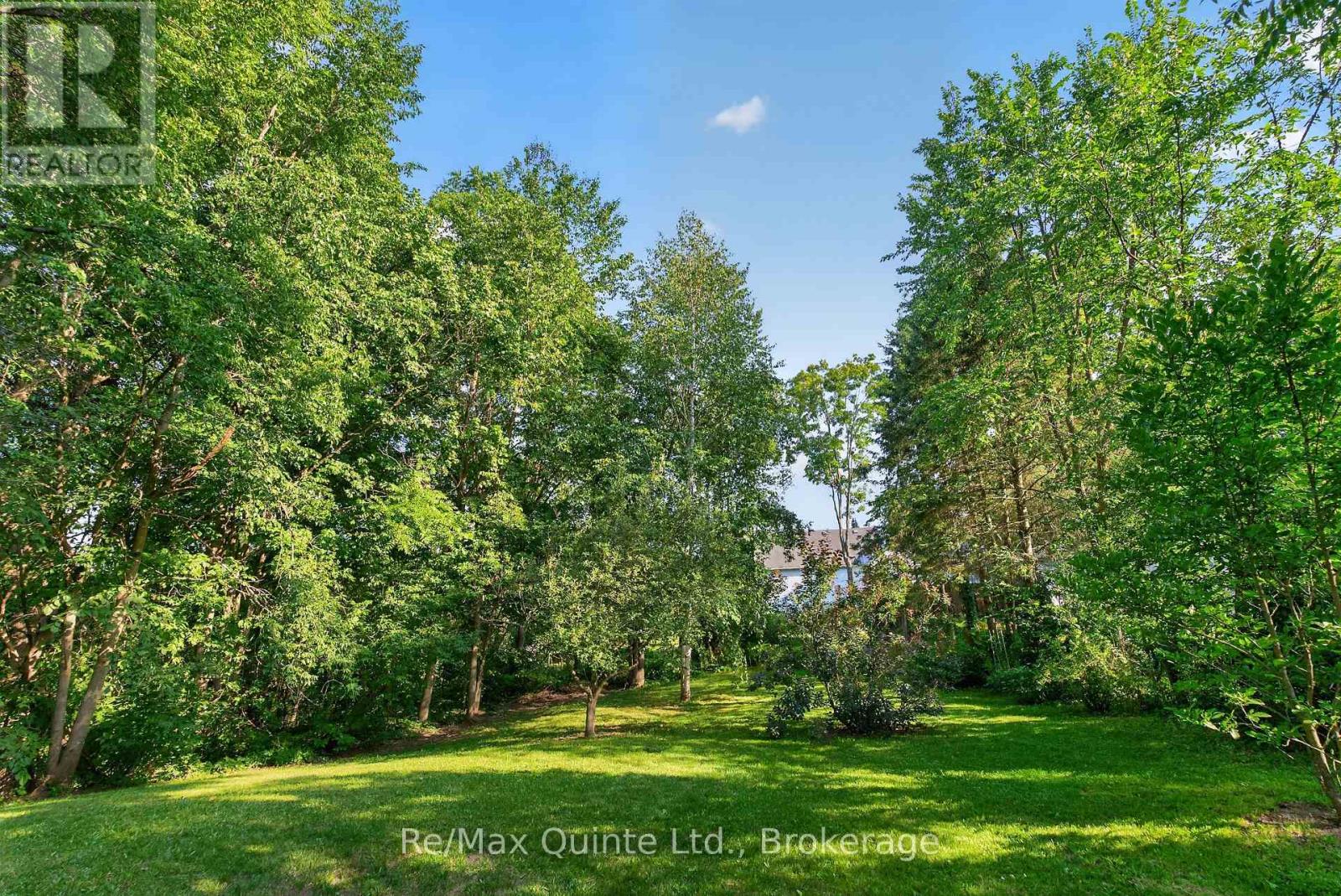 97 St Lawrence Street W, Centre Hastings, Ontario  K0K 2K0 - Photo 43 - X13650030