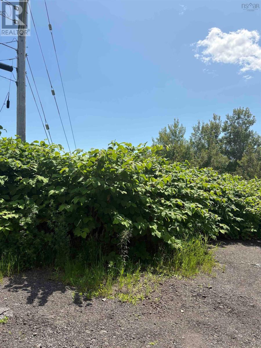 0 Lorway Avenue, Reserve Mines, Nova Scotia  B1E 1E4 - Photo 2 - 202619401