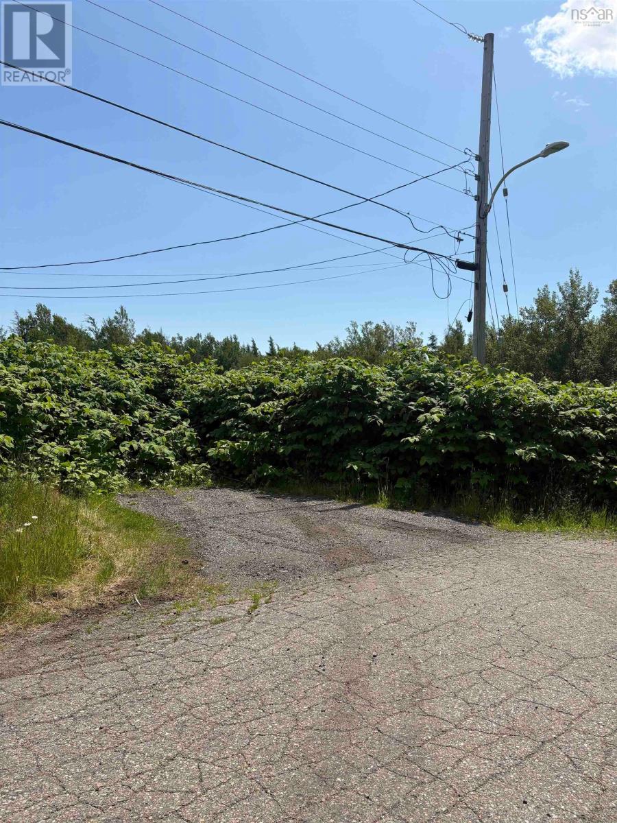 0 Lorway Avenue, Reserve Mines, Nova Scotia  B1E 1E4 - Photo 3 - 202619401