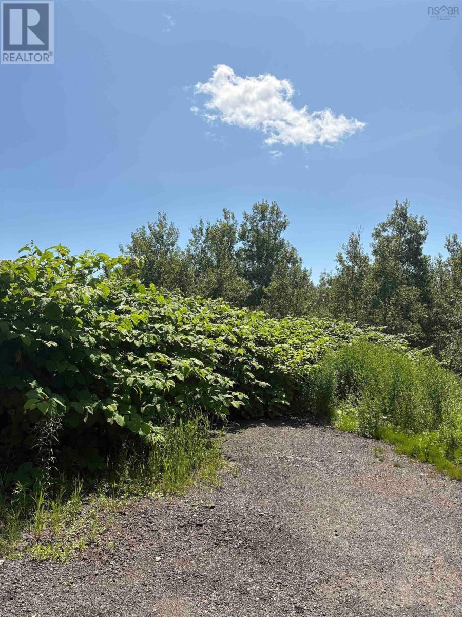 0 Lorway Avenue, Reserve Mines, Nova Scotia