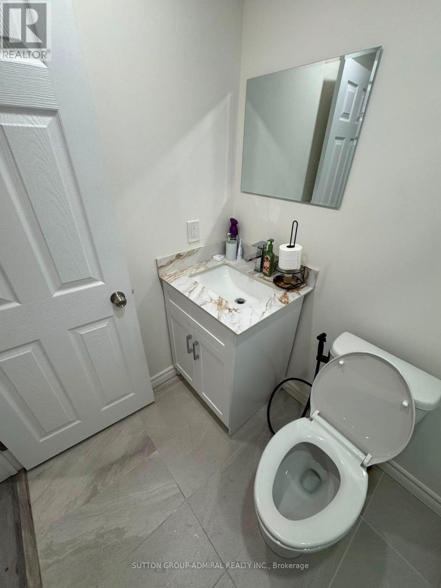 (Basement) - 39 Crown Crescent, Bradford West Gwillimbury, Ontario  L3Z 2M4 - Photo 13 - N13649904