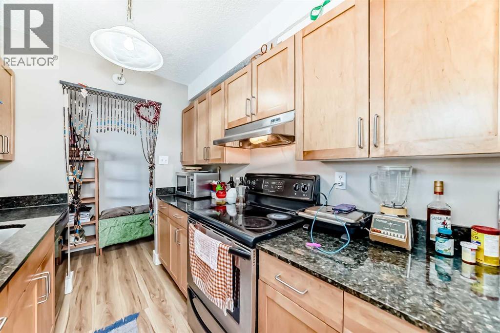 201, 315 9a Street NW, Calgary, Alberta  T2N 1T7 - Photo 11 - A2328403