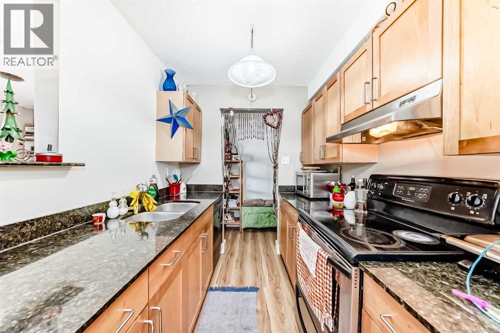 201, 315 9a Street NW, Calgary, Alberta  T2N 1T7 - Photo 10 - A2328403