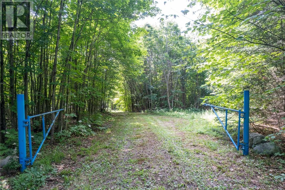 24 Mountainview Road, Massey, Ontario  P0P 1P0 - Photo 7 - 2128432