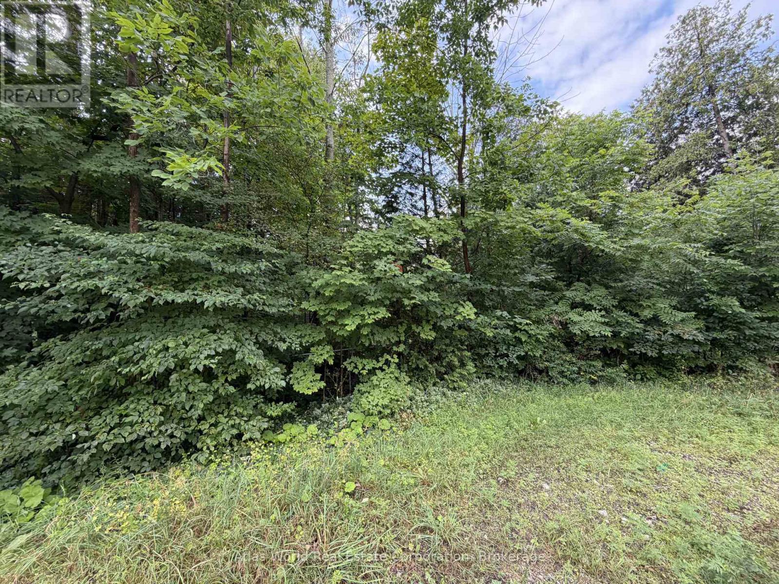 23 Front Street, South Bruce Peninsula, Ontario  N0H 2T0 - Photo 2 - X13650196