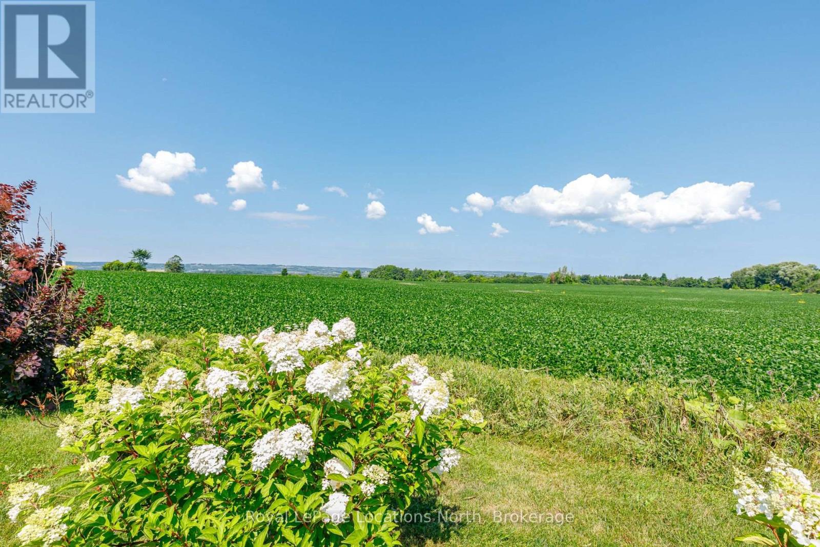 728099 21 Side Road, Blue Mountains, Ontario  N0H 1J0 - Photo 35 - X13650362