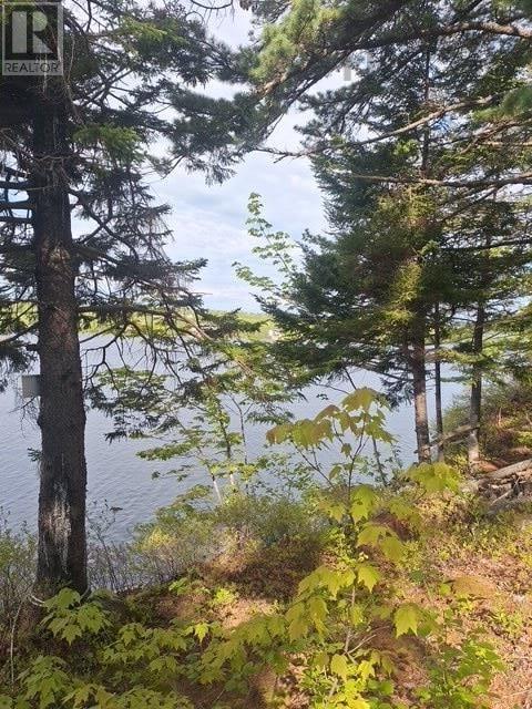 Lot Km1 Thompson Lake Unknown, Porters Lake, Nova Scotia  B3E 1J1 - Photo 2 - 202618445