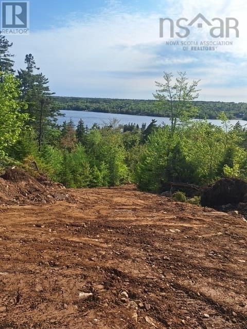 Lot Km1 Thompson Lake Unknown, Porters Lake, Nova Scotia  B3E 1J1 - Photo 6 - 202618445