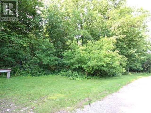 44 Brodick Street, Hamilton, Ontario  L8S 3E4 - Photo 10 - X13650194