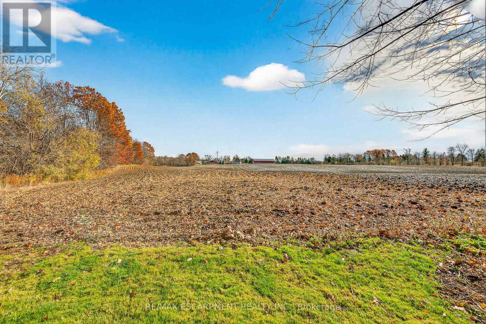 1597 Trinity Church Road, Hamilton, Ontario  L0R 1P0 - Photo 39 - X13650366