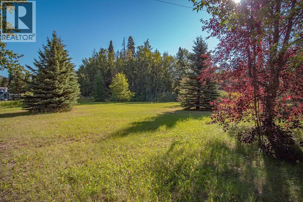 3515 Baker Drive, Fort St. James, British Columbia  V0J 1P0 - Photo 21 - R3153308