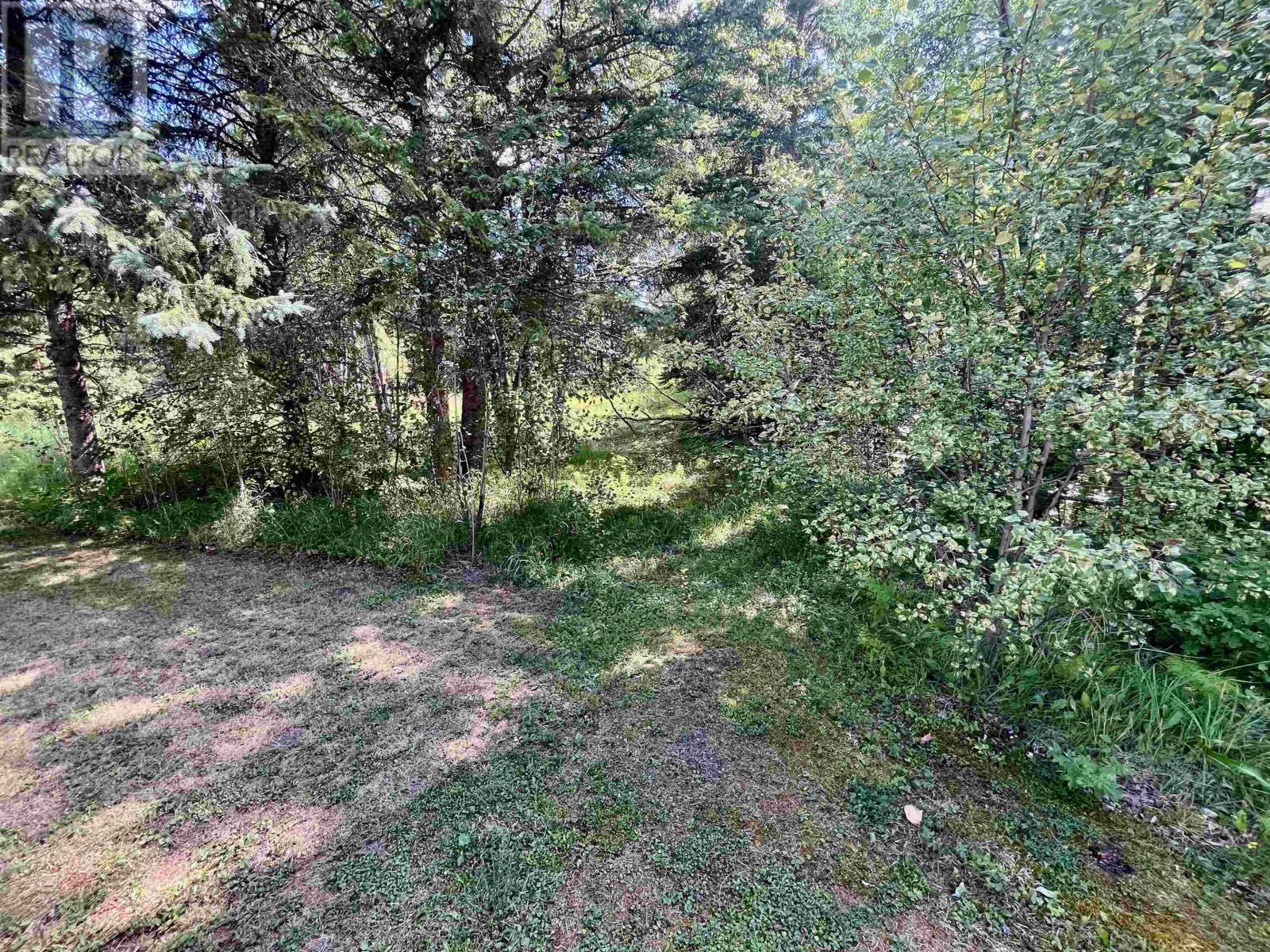 71 Lakeview Rd, Dryden, Ontario  P8N 2Y4 - Photo 27 - TB2602275
