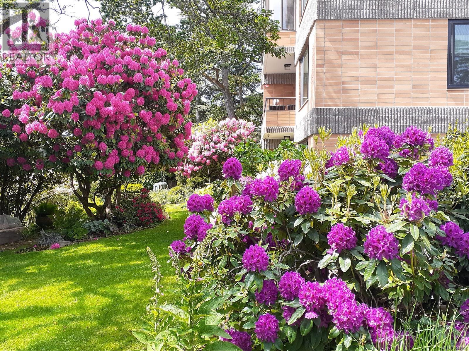 305 2930 Cook St, Victoria, British Columbia  V8W 3G3 - Photo 65 - 1044300